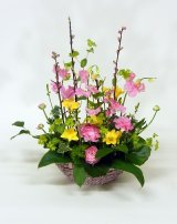 画像: アレンジメント